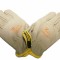 Palmari PIELE COMPLET (elastic) (12pcs) FarmGarden AgroTrade