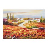 Tablou pictat manual living, dormitor - Peisaj cu maci si case - 70x50cm ulei pe panza in cutit, efect 3D, Magnific!
