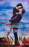 O propunere indrazneata - 2017 - Sandra Brown (T209), Litera