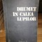 Drumet in calea lupilor - Nicolae Dragos, Mihai Stoian