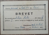 Brevet premiul I// Scoala primara de baieti no. 3 Tecuci 1939