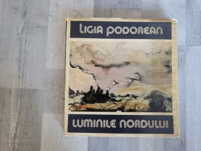 Luminile nordului de Ligia Podorean foto