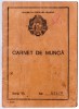 AMS# - CARNET DE MUNCA R.P.R., SAVROMLEMN, RADAUTI