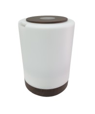 Difuzor umidificator aromaterapie LH-B300-WhWg