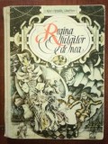 Regina fulgilor de nea povesti - Hans Christian Andersen