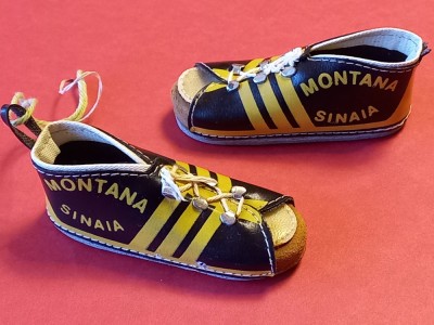 Ghetute fotbal (fara mingie) - MONTANA SINAIA foto