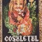 Cosuletul cu flori - Chr. V. Schmidt