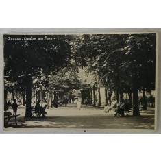 GOVORA , VEDERE DIN PARC , O ALEE , FOTO M. VESA O.N.E.F. , TIP CARTE POSTALA , INTERBELICA