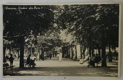 GOVORA , VEDERE DIN PARC , O ALEE , FOTO M. VESA O.N.E.F. , TIP CARTE POSTALA , INTERBELICA foto