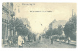 2830 - BUCURESTI, Elisabeth Ave. Romania - old postcard - used - 1906, Circulata, Printata