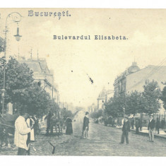 2830 - BUCURESTI, Elisabeth Ave. Romania - old postcard - used - 1906