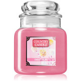 Country Candle Sweet Stuf lum&acirc;nare parfumată 453 g