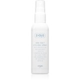 Ziaja Antioxidant Care Sea Salt Styling Spray spray styling cu sare de mare 90 ml