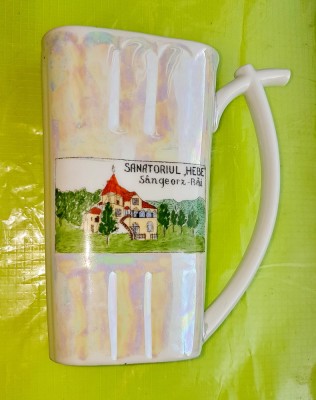 F334-Cana Sanatorul HEBE Sangiorz Bai IRIS JP Fine Porcelain perioada socialista foto