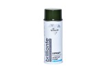 Cumpara ieftin Vopsea Spray Verde Masliniu (Ral 6003) 400 ml, Brilliante