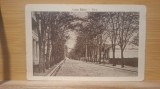 Carte postala AA50 Lacul Sarat - Aleea - 1931,interbelica