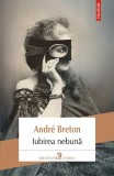 Iubirea nebuna, Andr&eacute; Breton - Carte Fictiune Carti Beletristica Romane, Paperback brosat, Polirom