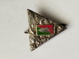 bnk ins Franta - Insigna militara - 2nd Foreign Parachute Regiment (French: 2&egrave;me R&eacute;giment &Eacute;tranger de Parachutistes )