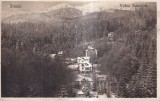 Sinaia. Valea Iancului (circulata 1924)