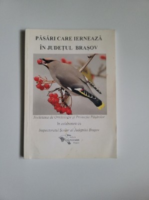 Transilvania- Pasari care ierneaza in Judetul Brasov, Societatea de Ornitologie foto