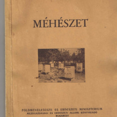 Meheszet (Albinaritul)/Bukarest 1957 lb. maghiara