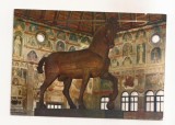 FA116 -Carte Postala- ITALIA - Padova. Sala della Ragione. Il Cavallo del Donatello, necirculata
