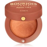 Bourjois Blush blush