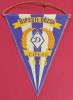 Fanion fotbal - UJPESTI DOZSA (Ungaria)