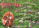 Bukowina - Geriffelte Ostereier. Bucuvina - oua incondeiate