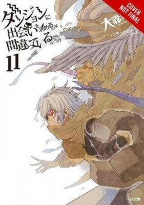 Is It Wrong to Try to Pick Up Girls in a Dungeon?, Vol. 11 (Light Novel) foto
