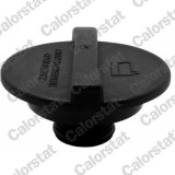 CALORSTAT by Vernet RC0167 buson,vas expansiune