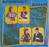 Disc Vinil Interpreți Din Banat -Electrecord- EPE 03461