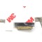 Cablu video LVDS Packard Bell Easynote TE69BM, Easynote TE69CX, Easynote TE69HW