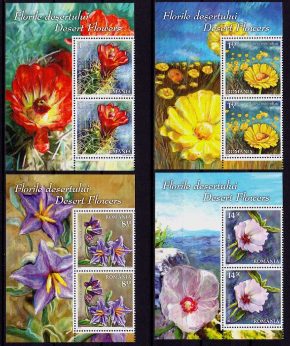 ✅RO 2014 LP 2012 ,&quot;Florile deșertului &quot; - pereche de 2 marci + manseta,MNH