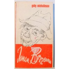 IANCU BREZEANU de GABY MICHAILESCU , 1984