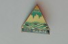 QW9 K 86 - Insigna - tematica pionieri - turism - Tot inainte, Romania de la 1950