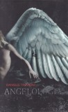 Angelologia, Danielle Trussoni, Editura Litera, 2010 (Roman SF, Thriller)