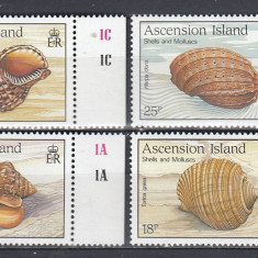 Ascension Islands - Fauna Marina - SCOICI si MOLUSCE - MNH