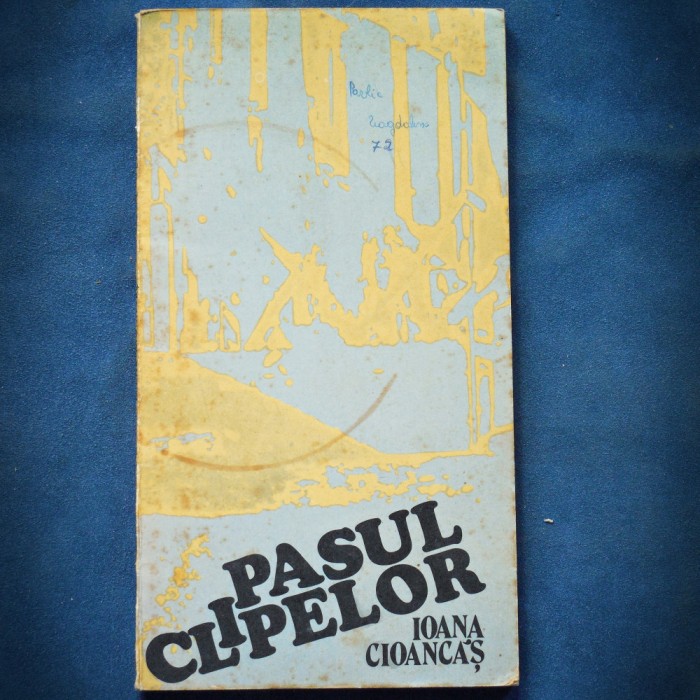 PASUL CLIPELOR - IOANA CIOANCAS