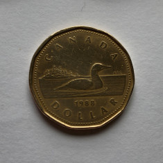 x17 Canada 1 dolar dollar 1988 foto