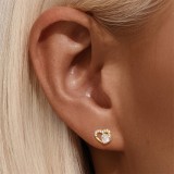 Cumpara ieftin Cercei din Argint 925 Placati cu Aur - Love Glow Studs