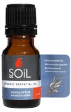 Ulei esential Eucalyptus 100% Organic, 10ml, Soil