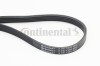 CONTINENTAL CTAM 5PK1334 Curea transmisie cu caneluri