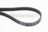 CONTINENTAL CTAM 5PK1334 Curea transmisie cu caneluri