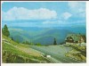 Carte Postala veche - Sinaia - Cabana Bradet , necirculata 1976