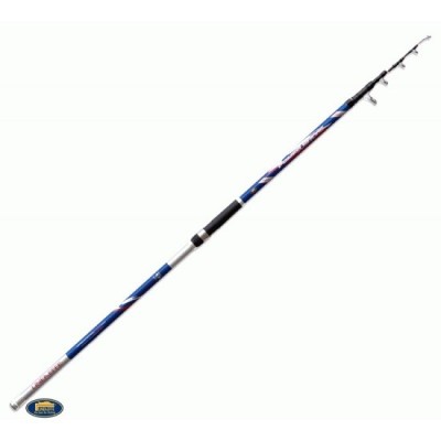 LANSETA TELESCOPICA LINEAEFFE POWER DRIVE WWG 3.90M 250G foto