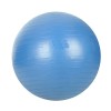 Minge Gimnastica Fitness 65 cm Albastra - Pilates, Yoga, Recuperare, Antrenament