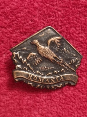 Insigna vanatoare-pescuit - AGVPS ROMANIA - Rata Salbatica foto