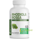 Rhodiola Rosea Root 1000mg 60cps