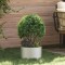 vidaXL Ghivece pentru grădină 5 pcs Argintiu 30 x 30 x 20 cm